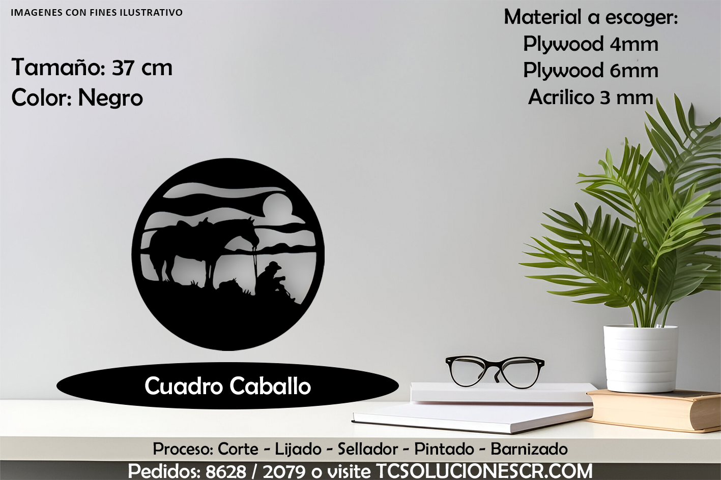 Cuadro Paisaje Jinete