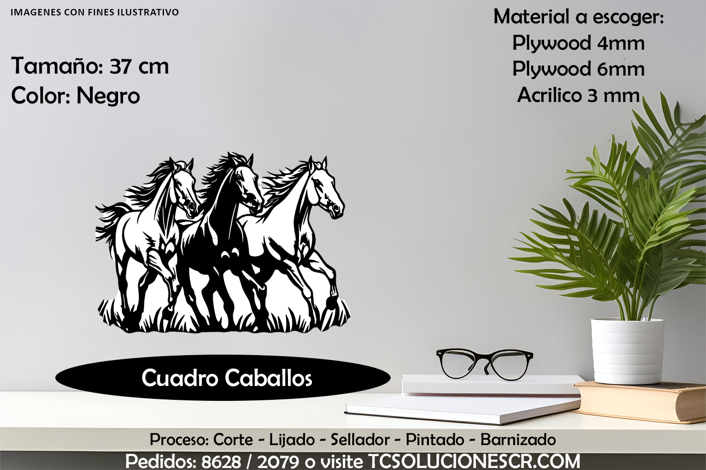Cuadro Caballos Salvajes