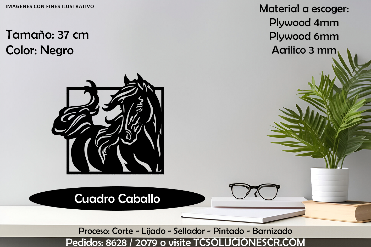 Cuadro Caballo
