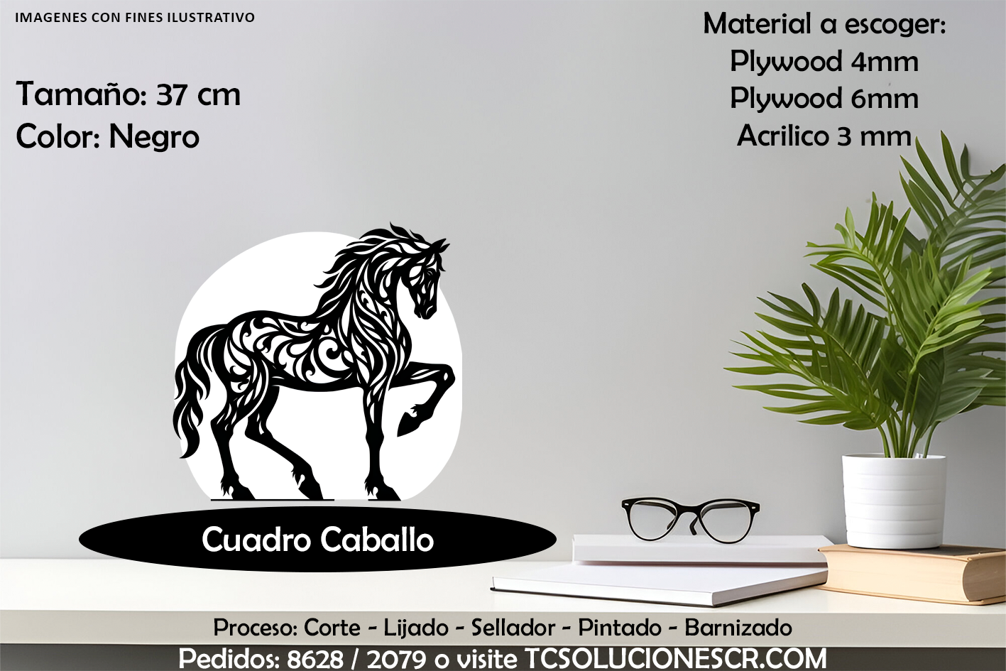 Cuadro Caballo Trotando
