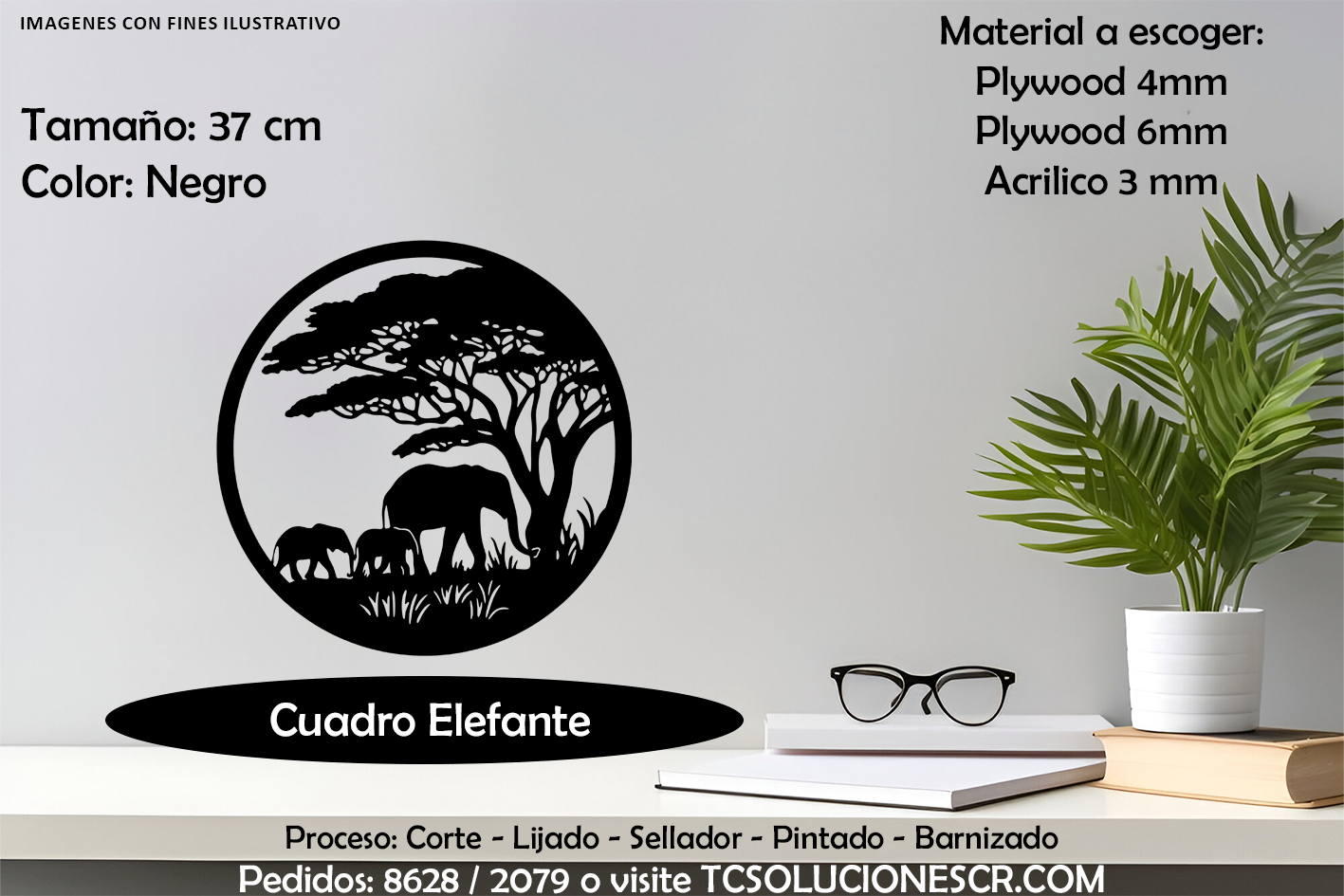 Cuadro Paisaje Elefantes