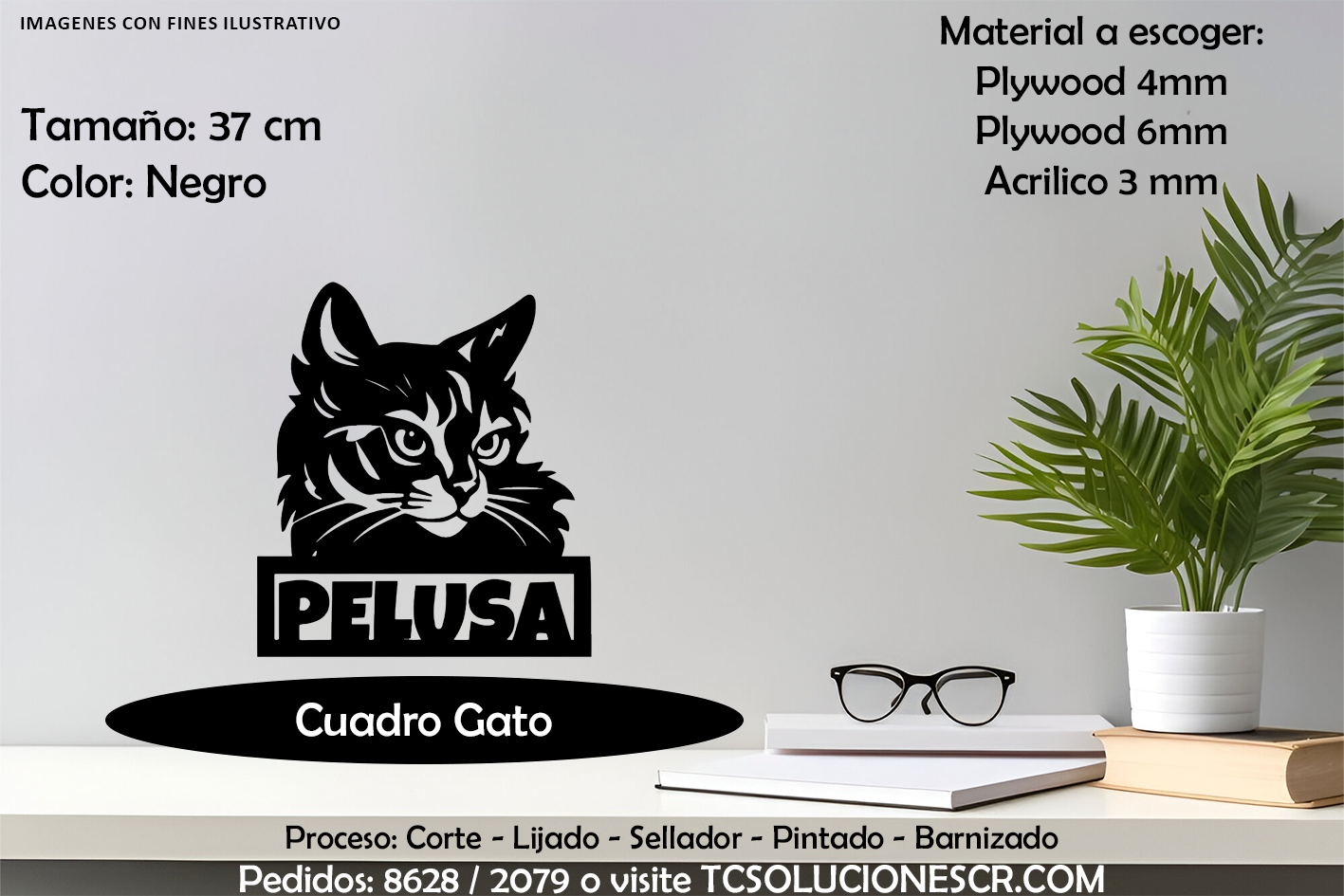 Cuadro Gato Con nombre Personalizado 1
