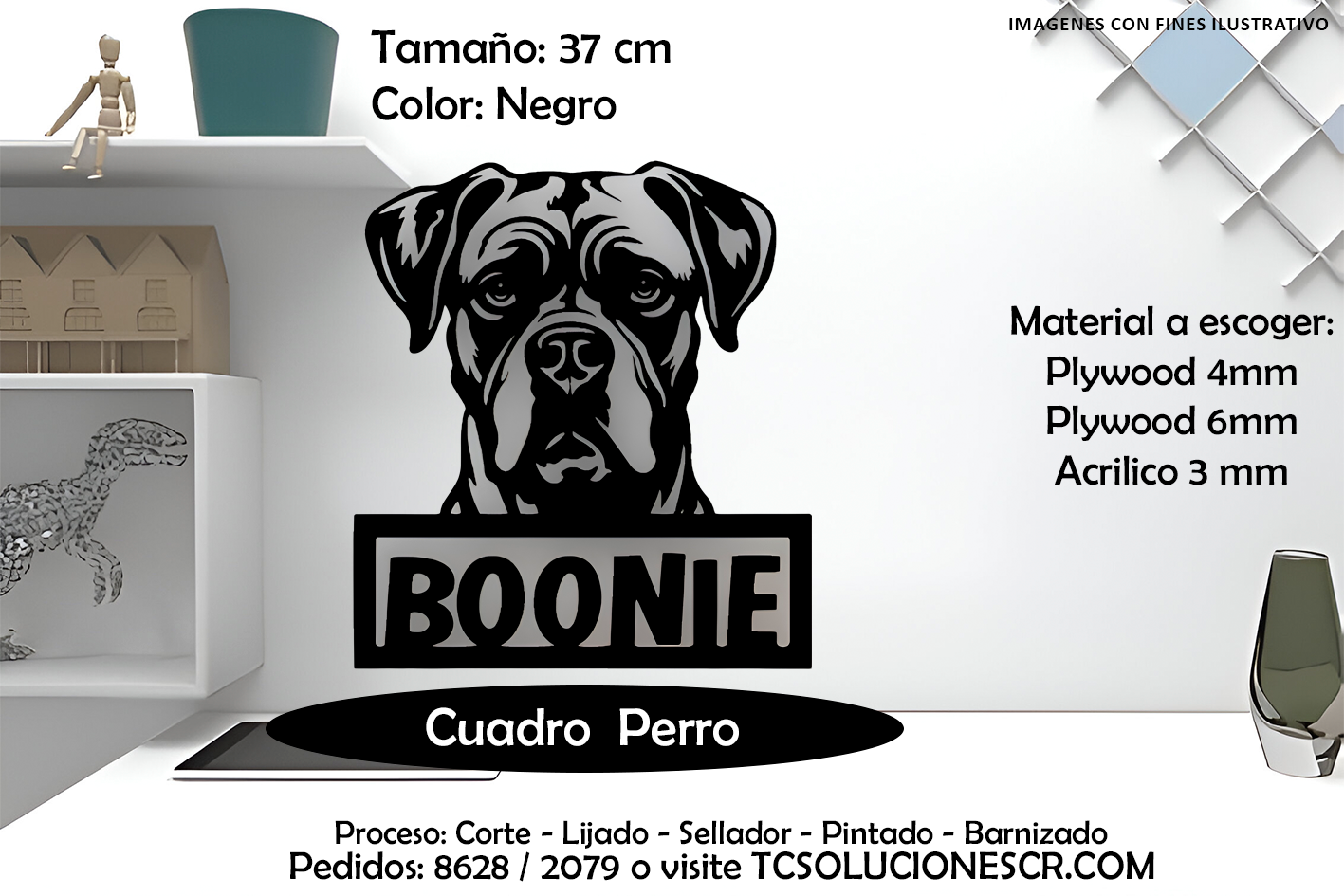 Cuadro Perro nombre Personalizado 16
