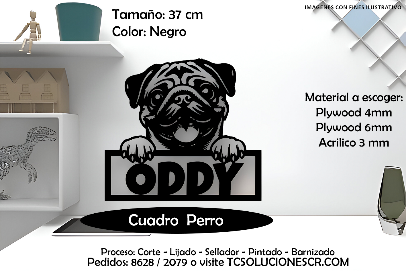 Cuadro Perro nombre Personalizado 17