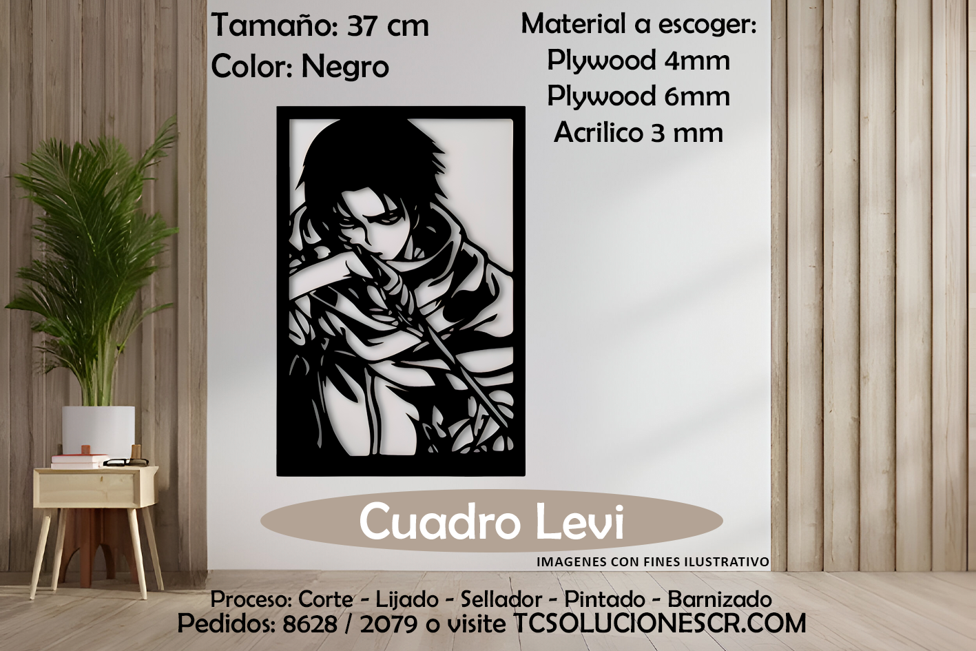 Cuadro Attack Of Titan Levi