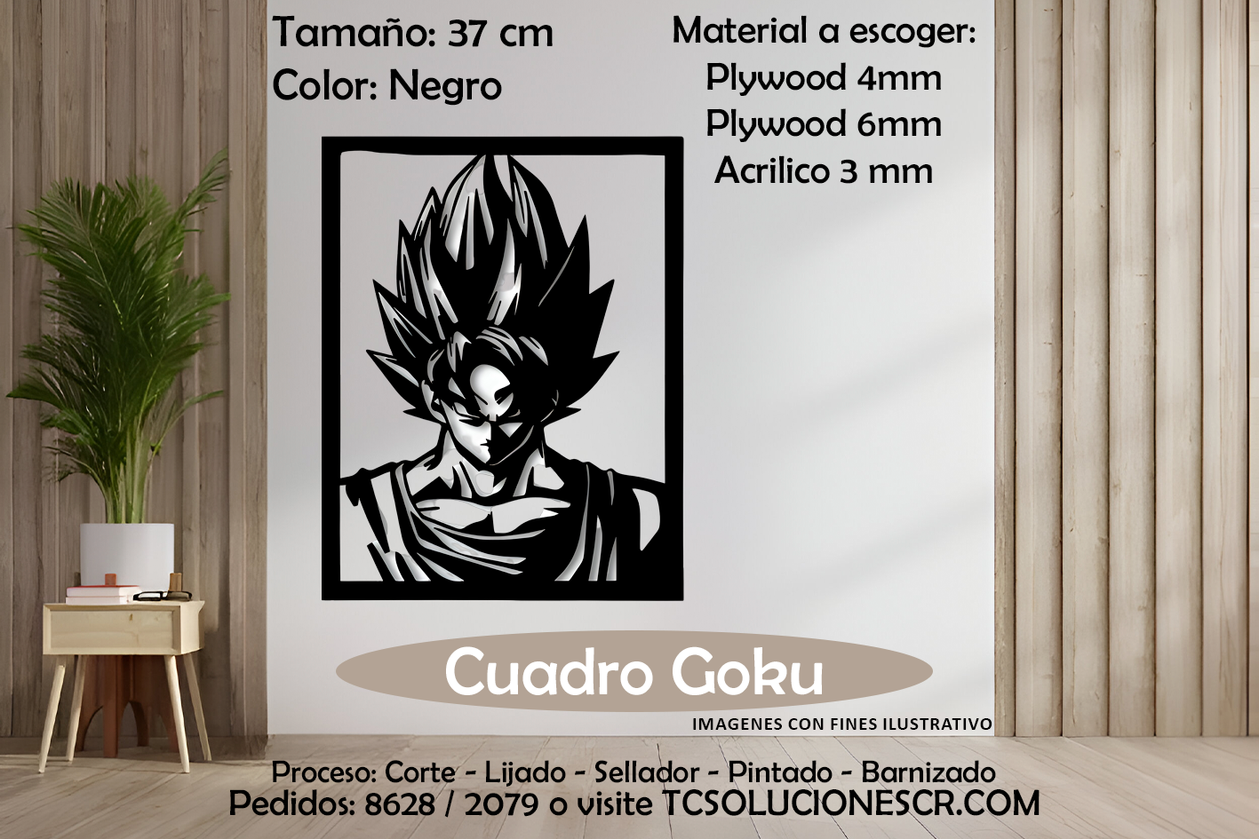 Cuadro DBZ Goku 1