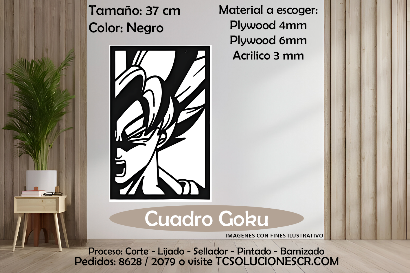 Cuadro DBZ Goku 3