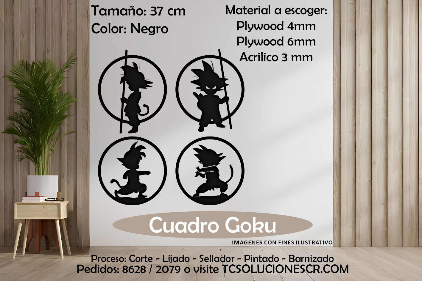 Cuadro DBZ 4 de 18 CM 2