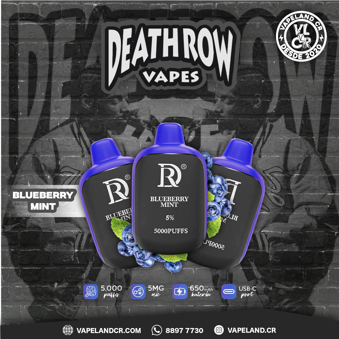 Death Row Blueberry Mint 5000 puffs.