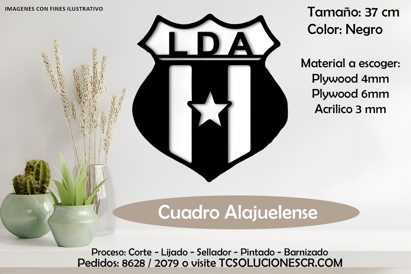 Cuadro Escudo Liga Deportiva Alajuelense
