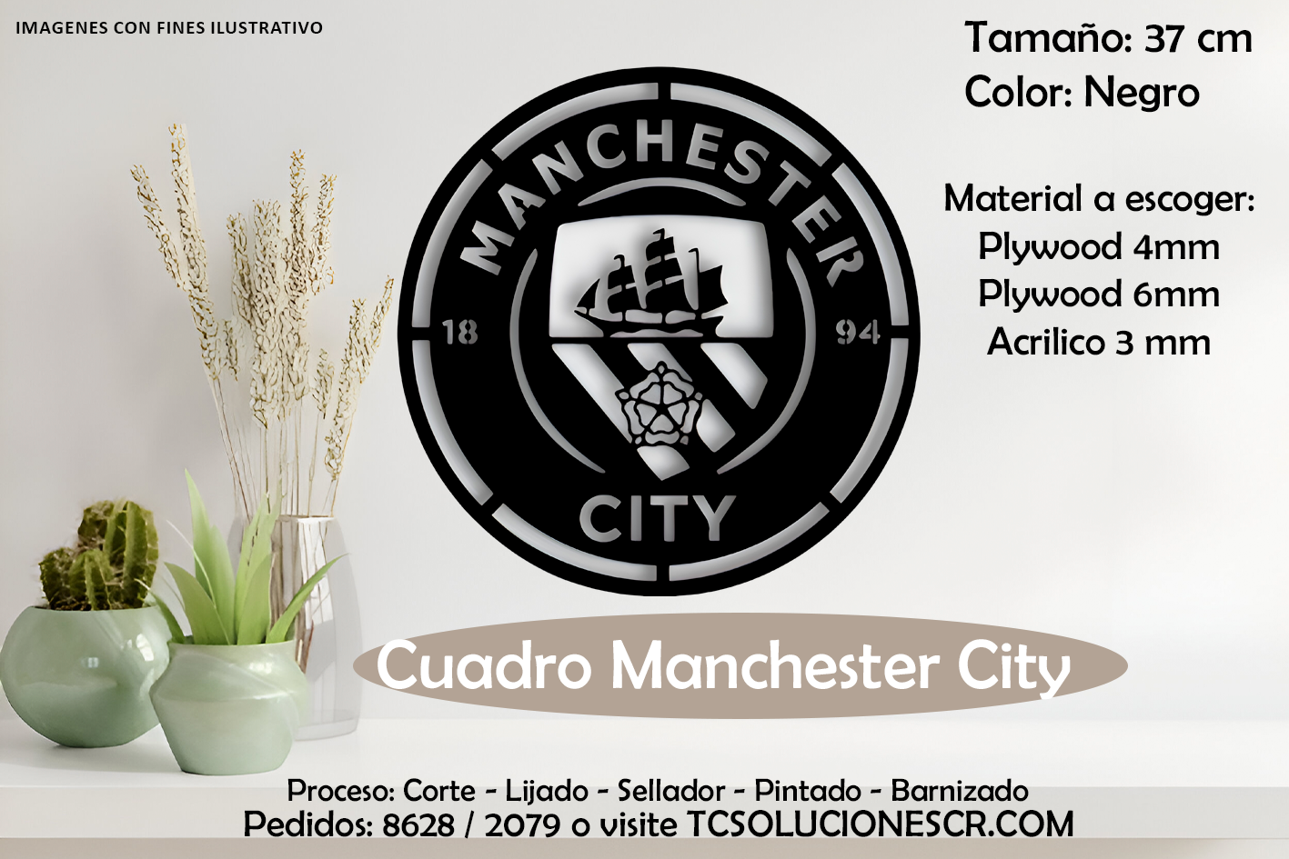 Cuadro Escudo Manchester City