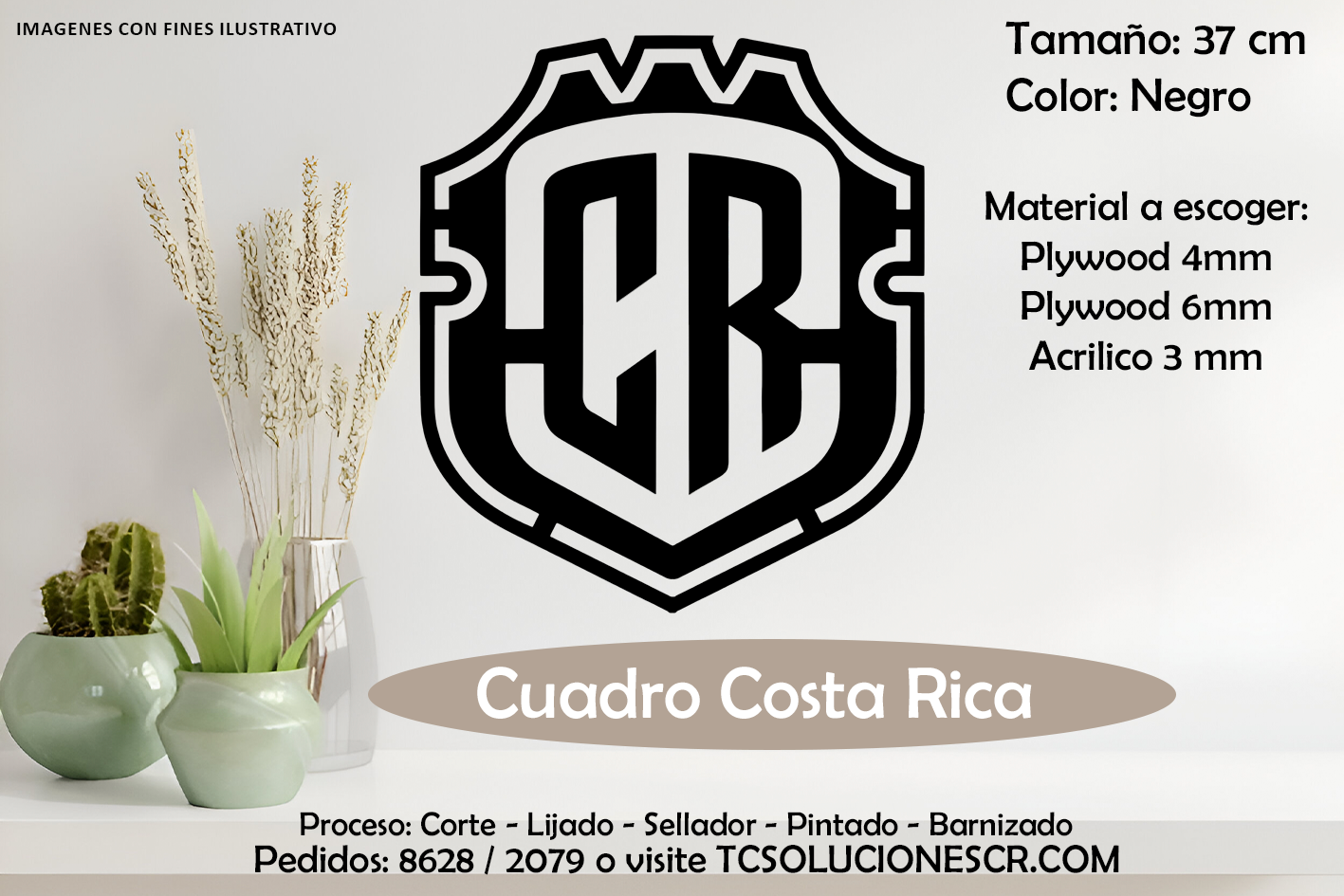 Cuadro Escudo Costa Rica