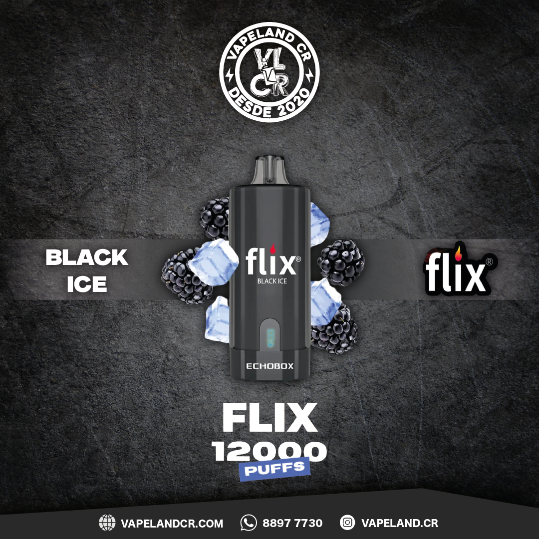 Flix Echobox Black Ice 12000 puffs.
