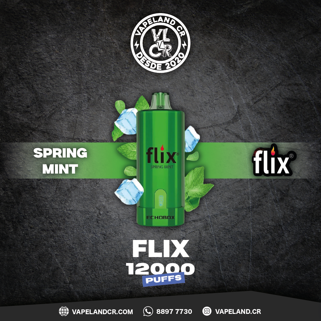 Flix Echobox Spring Mint 12000 puffs.
