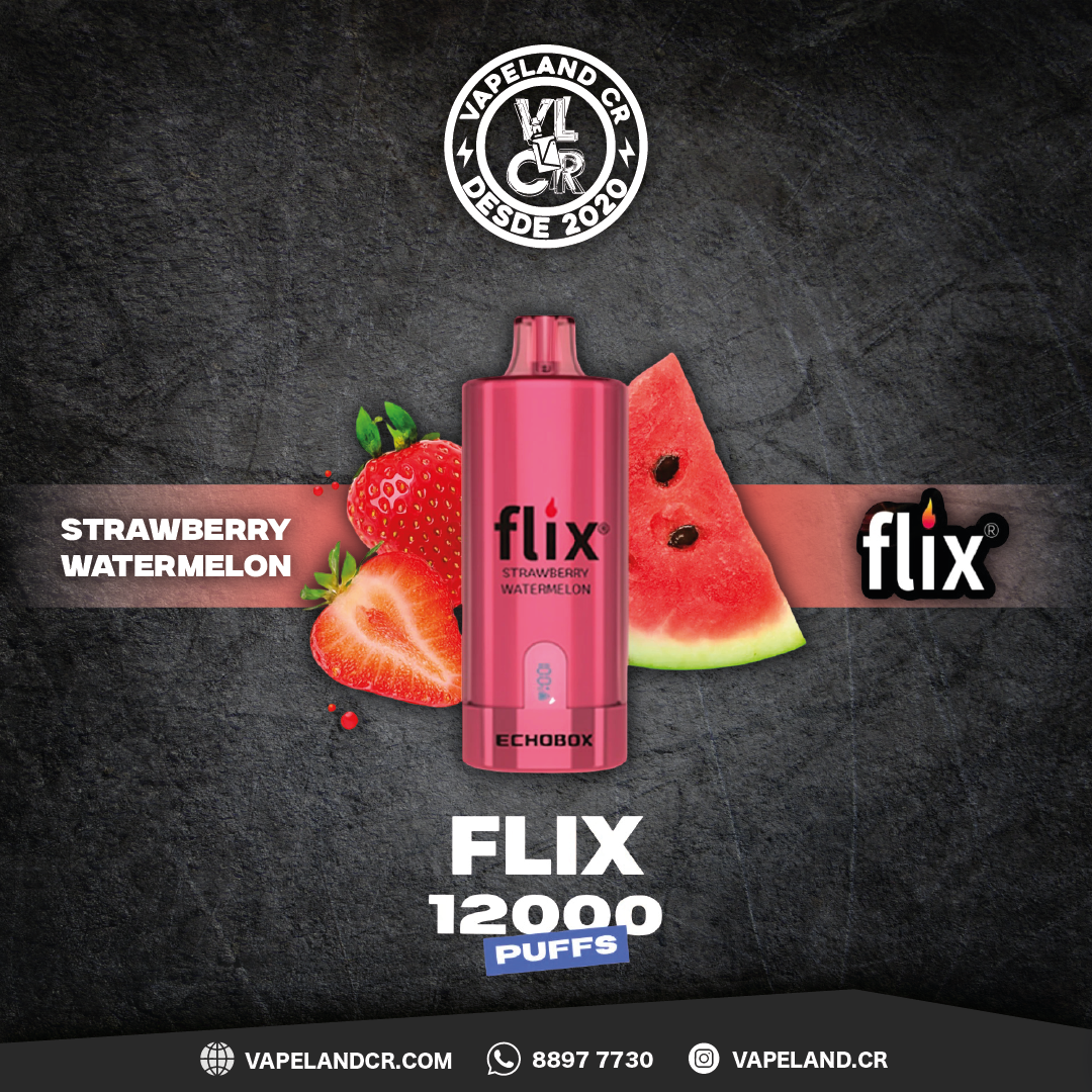 Flix Echobox Strawberry Watermelon 12000 puffs.