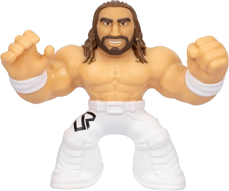 Goo Jit Zu W Superstar Seth ''Freakin'' Rollins.