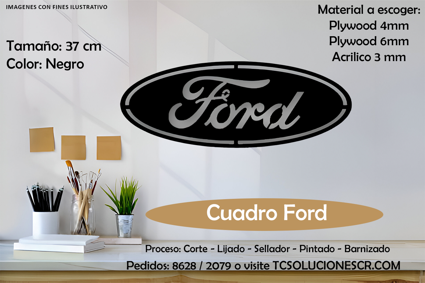 Cuadro Marca Carro Ford