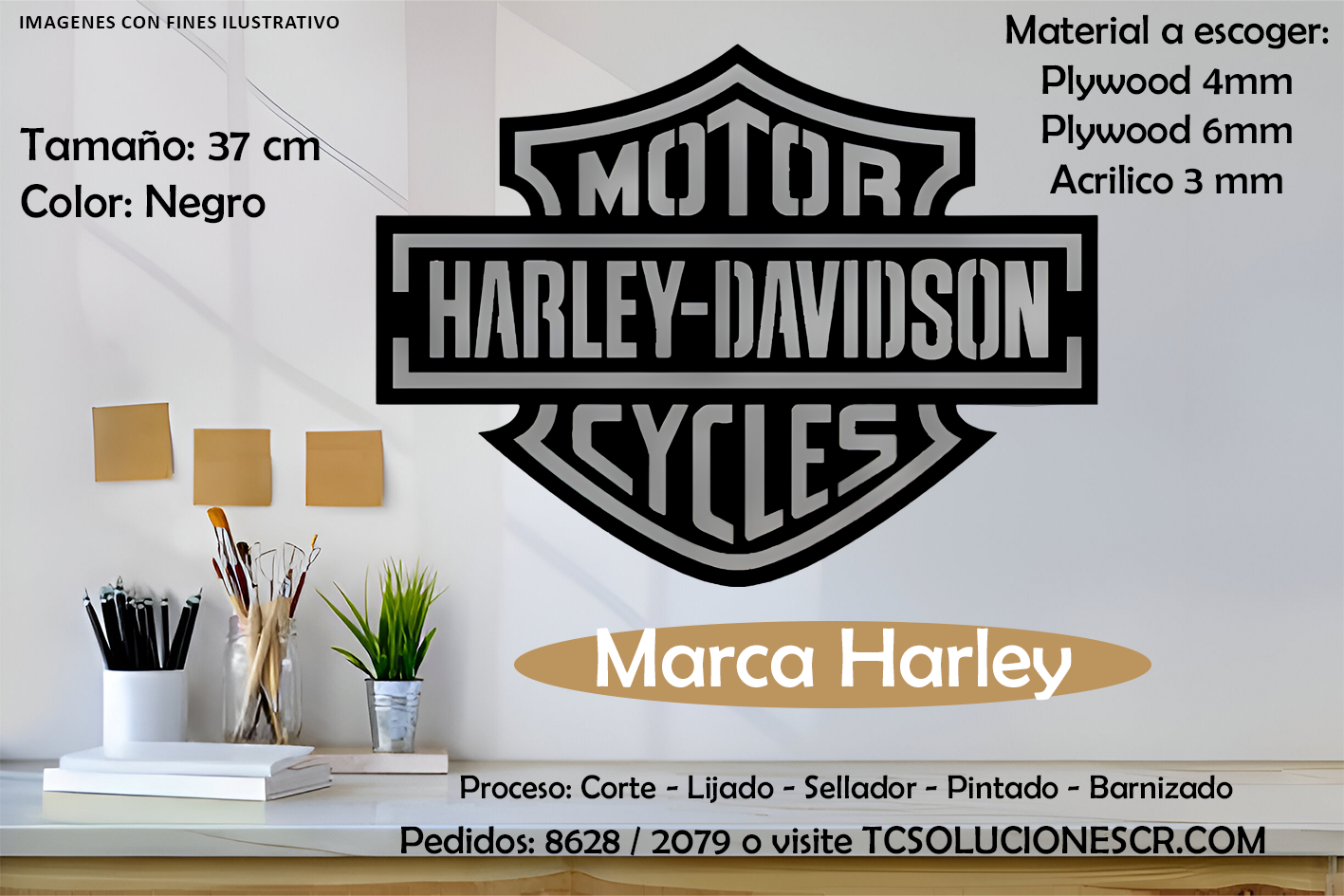 Cuadro Marca Carro Harley
