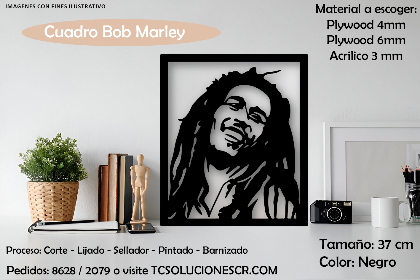 Cuadro Musical Bob Marley