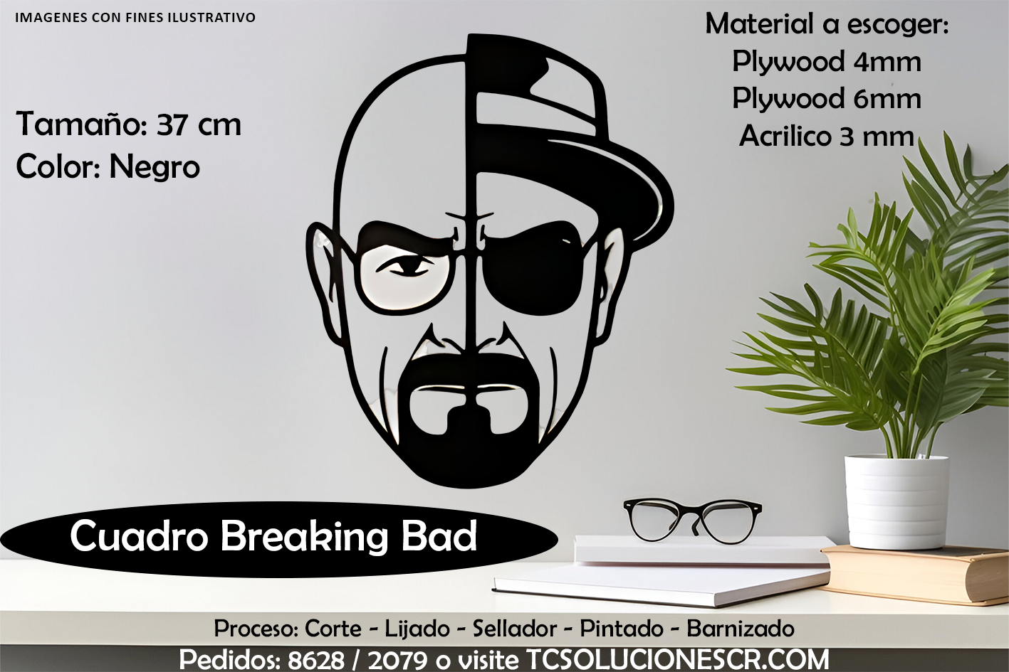 Cuadro Breaking Bad 1