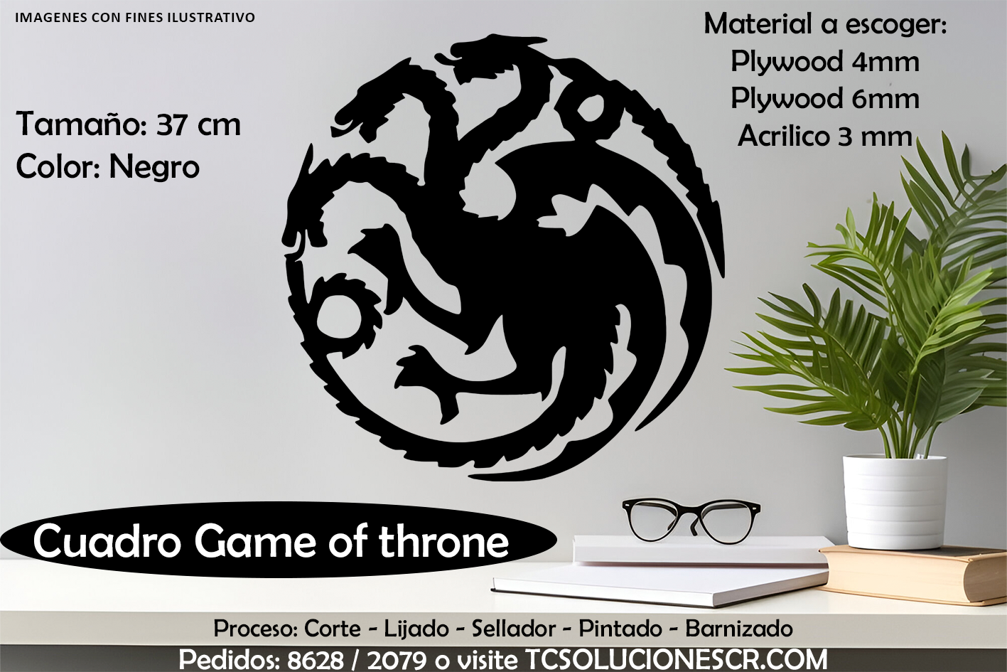 Cuadro Game Of Thrones 1