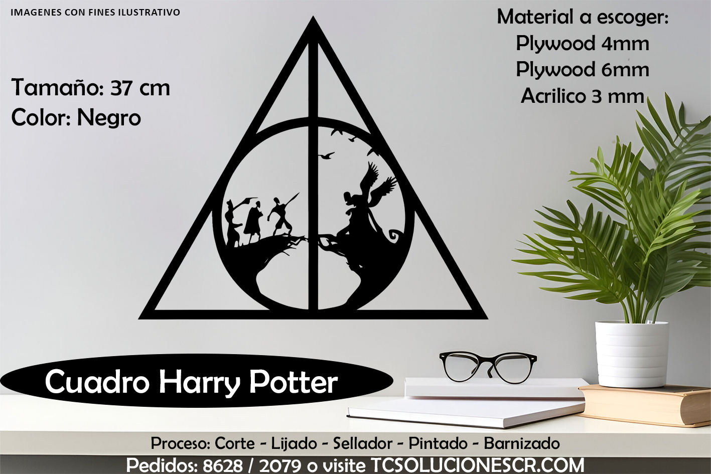 Cuadro Harry Potter 2