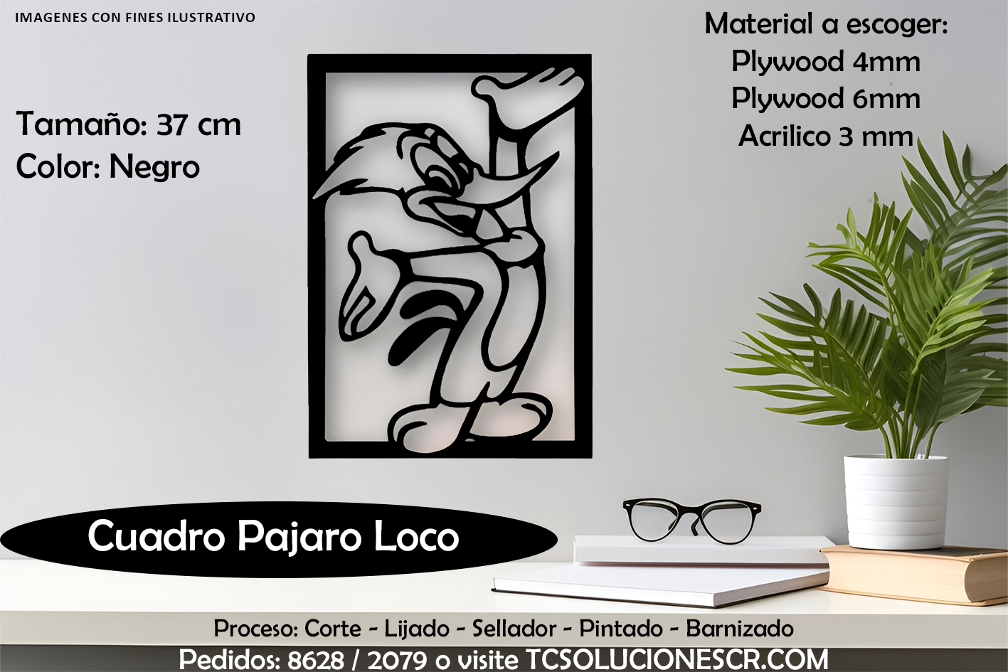 Cuadro Pajaro Loco