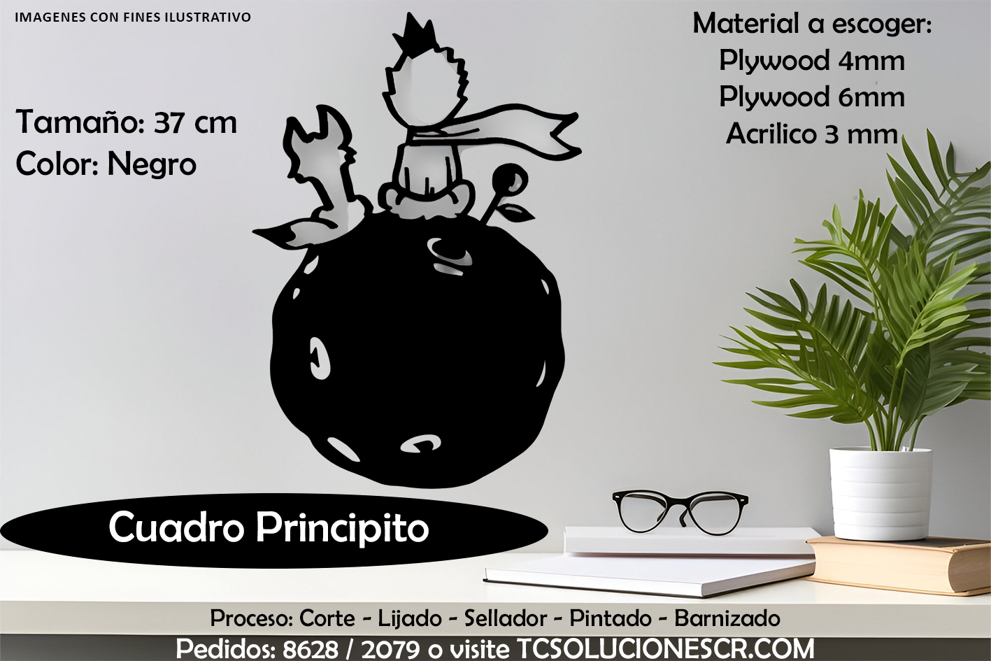 Cuadro Principito 1