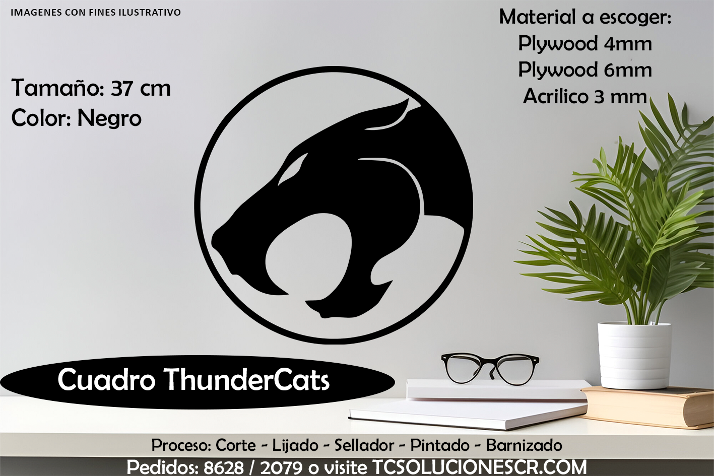 Cuadro ThunderCats 1