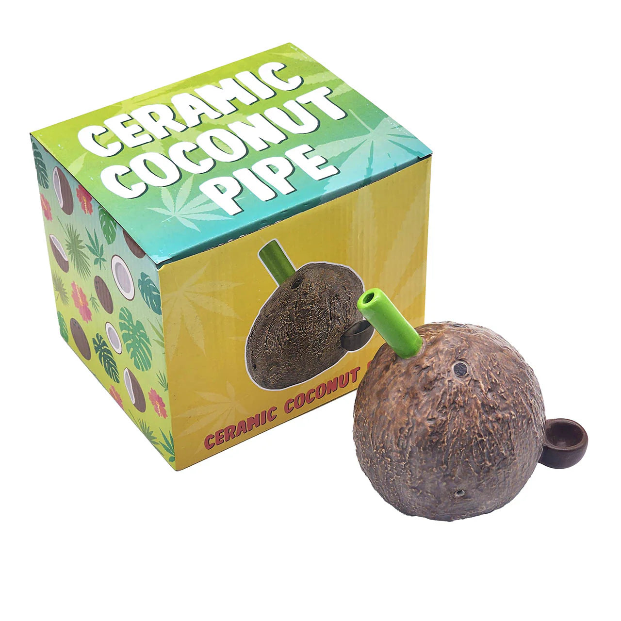 Pipa Living The Coconut Kind of Life.