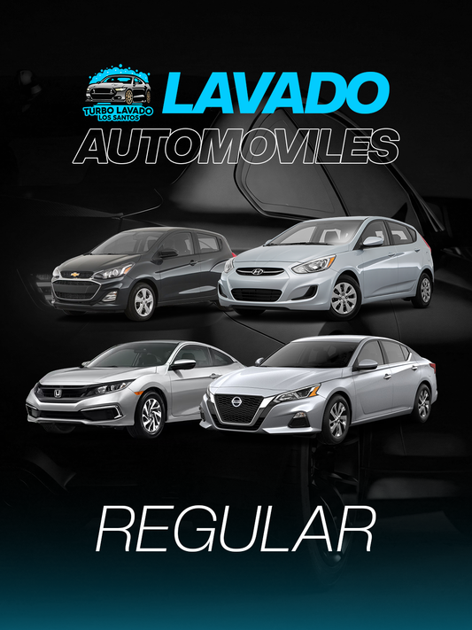 Lavado de Automóviles