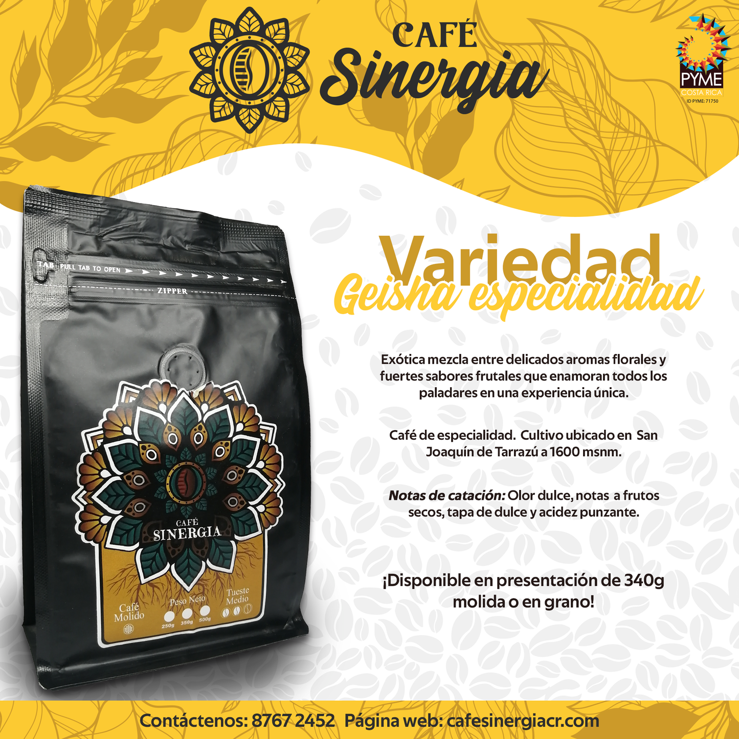 Café Geisha Especialidad.