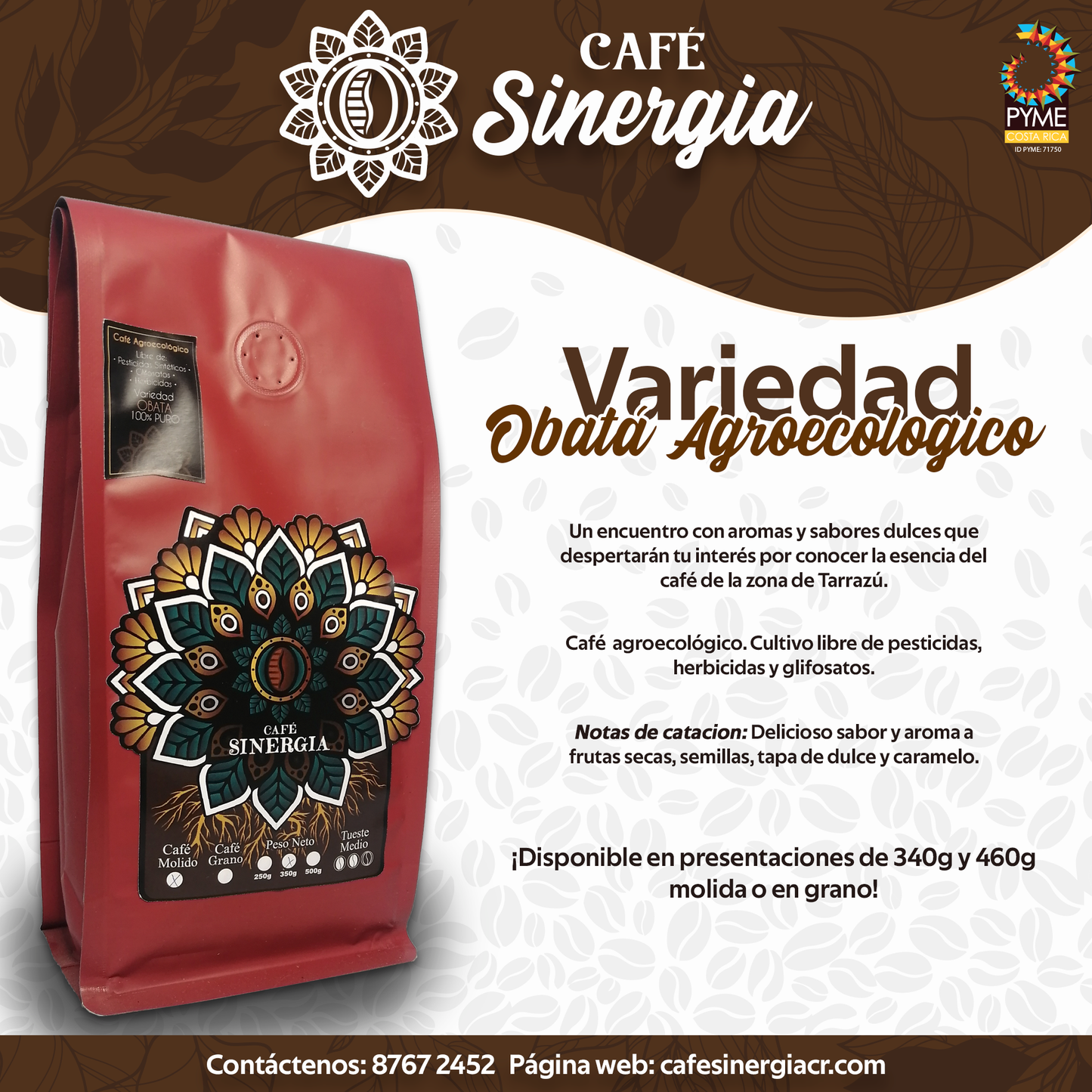 Café Óbata Agroecológico.