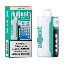 Adjust Mycool Miami Mint 40000 puffs.