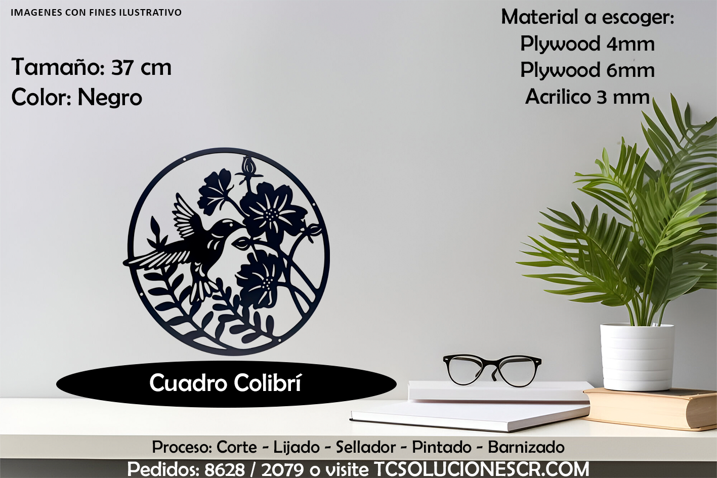 Cuadro Colibrí