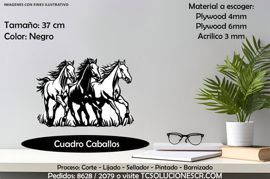 Cuadro Caballos Salvajes