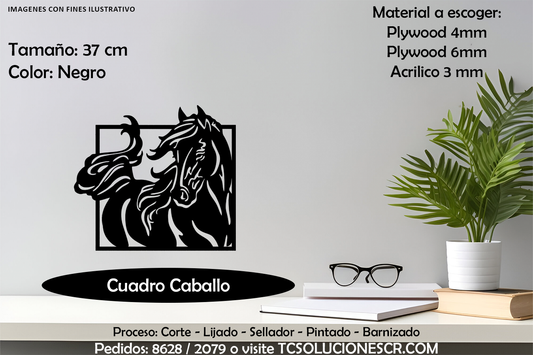 Cuadro Caballo