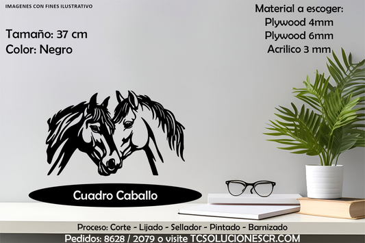 Cuadro Pareja de Caballos