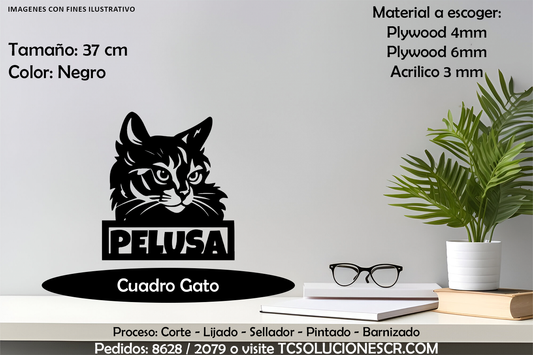 Cuadro Gato Con nombre Personalizado 1