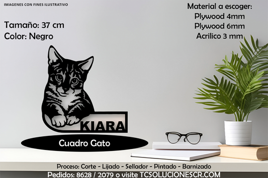 Cuadro Gato Con nombre Personalizado 2