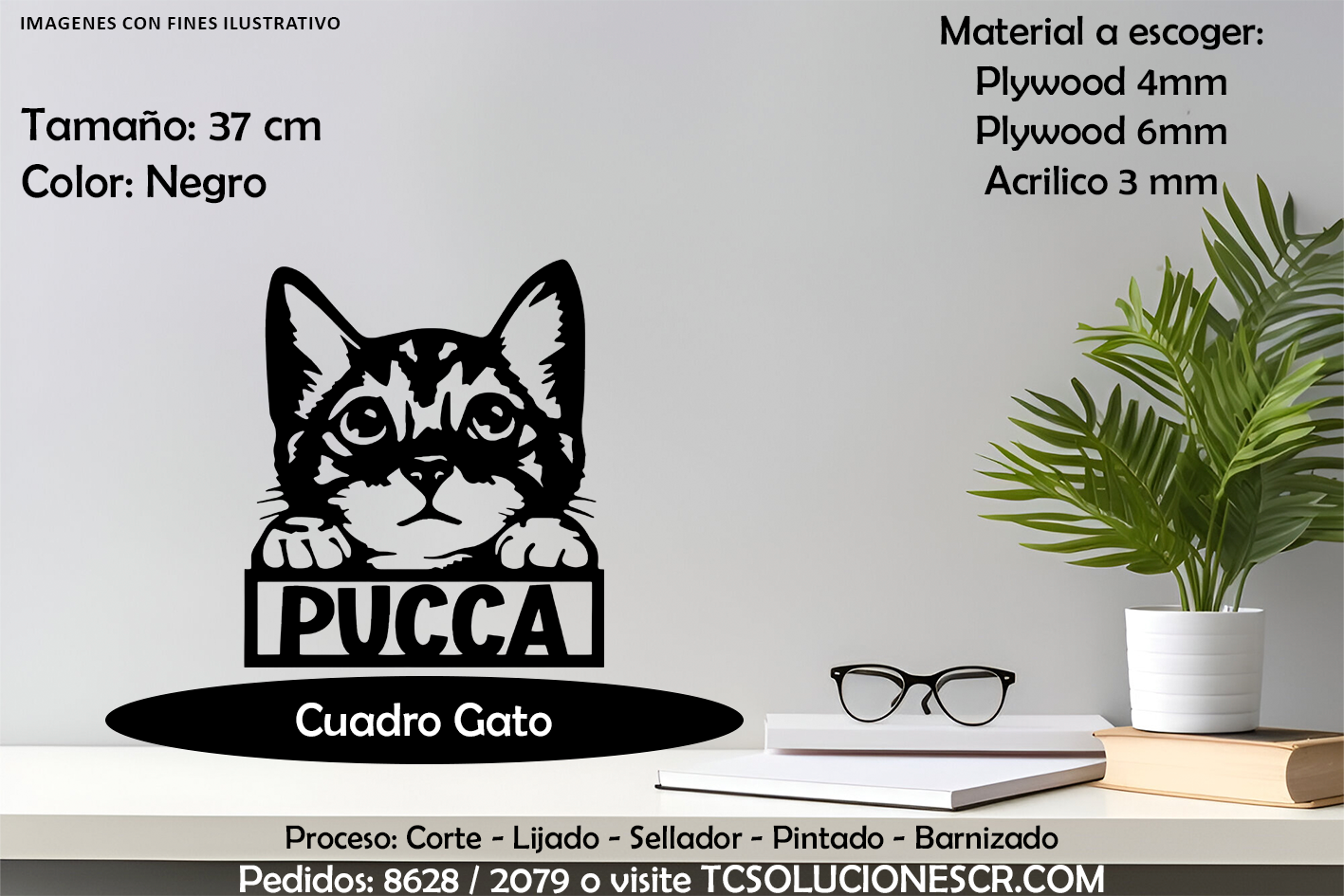 Cuadro Gato Con nombre Personalizado 3