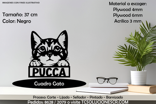 Cuadro Gato Con nombre Personalizado 3