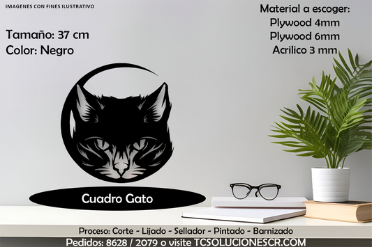 Cuadro Gato Con nombre Personalizado 4