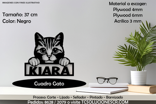Cuadro Gato Con nombre Personalizado 5