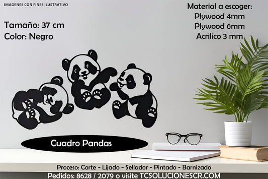 Cuadro Pandas 2