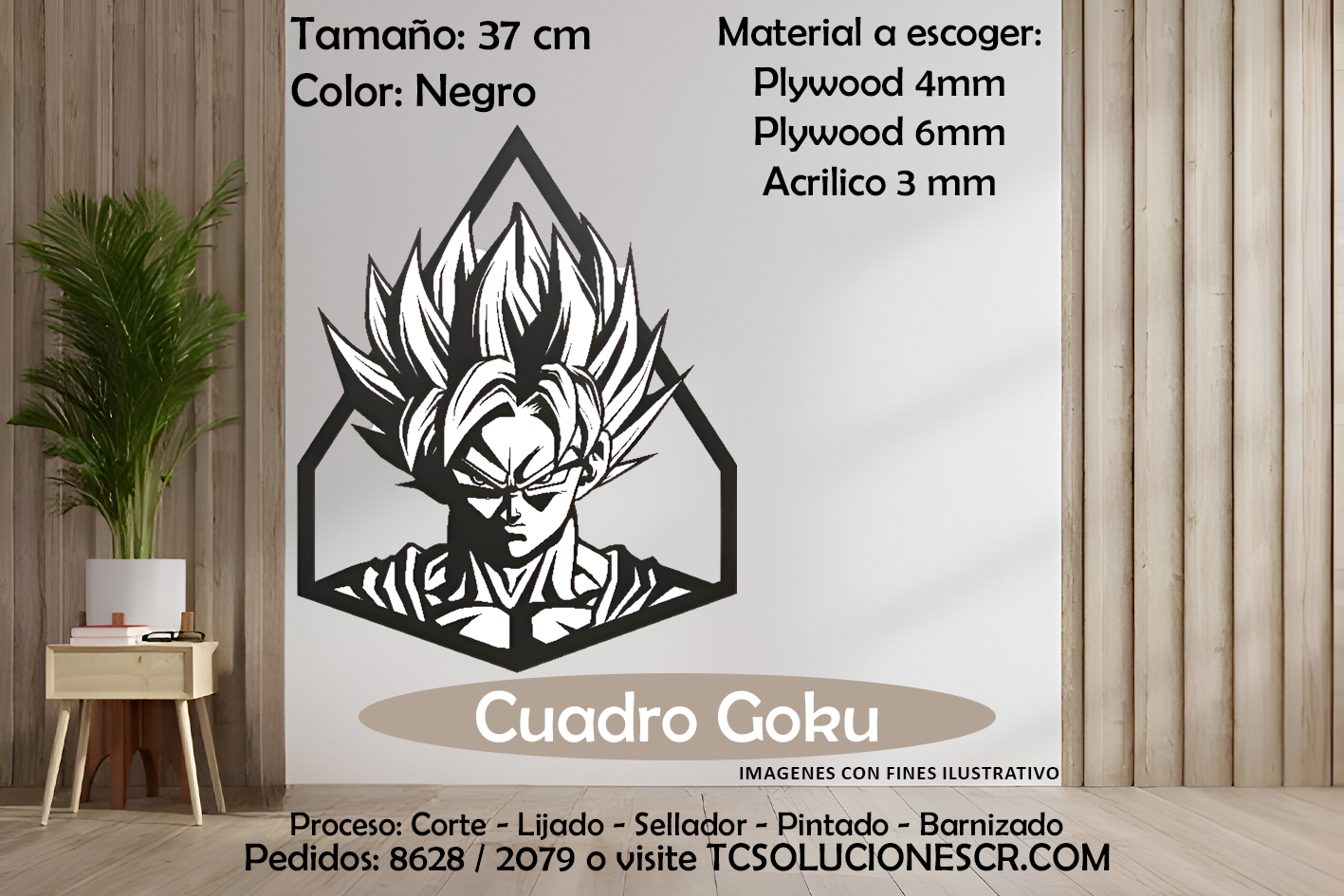 Cuadro DBZ Goku 2