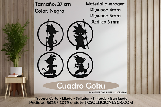 Cuadro DBZ 4 de 18 CM 2
