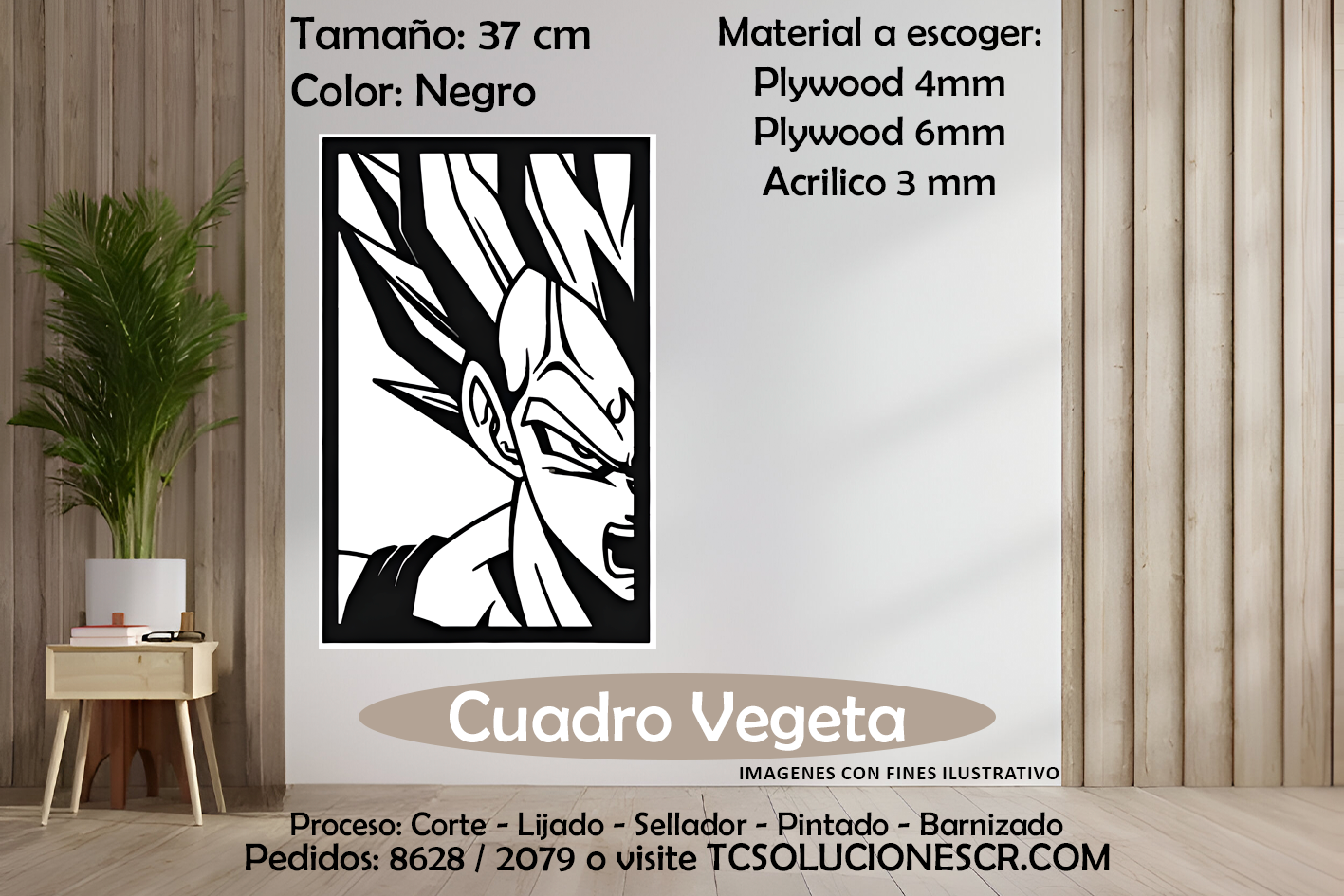 Cuadro DBZ Vegeta