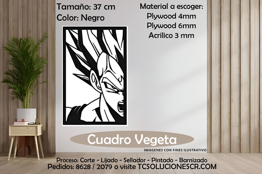 Cuadro DBZ Vegeta