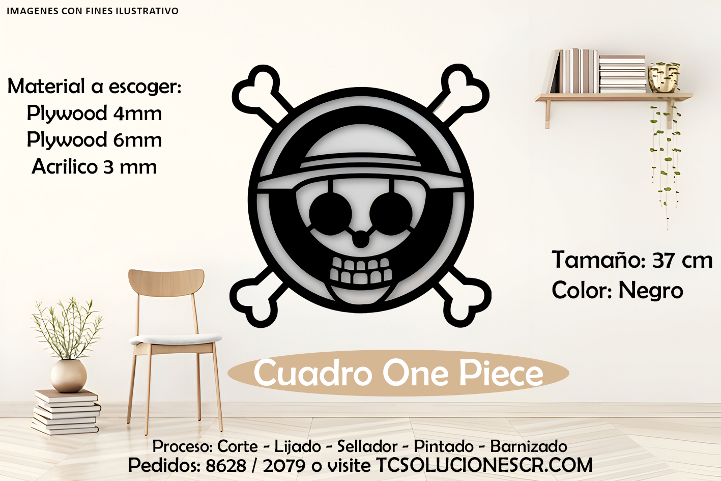 Cuadro One Peace Logo